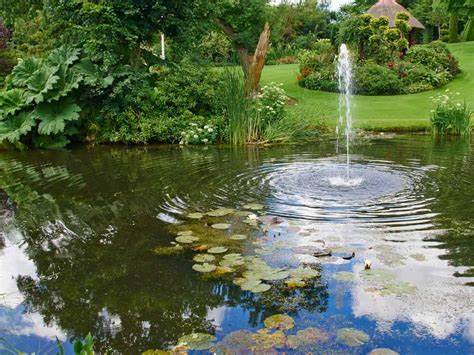 Pond Care