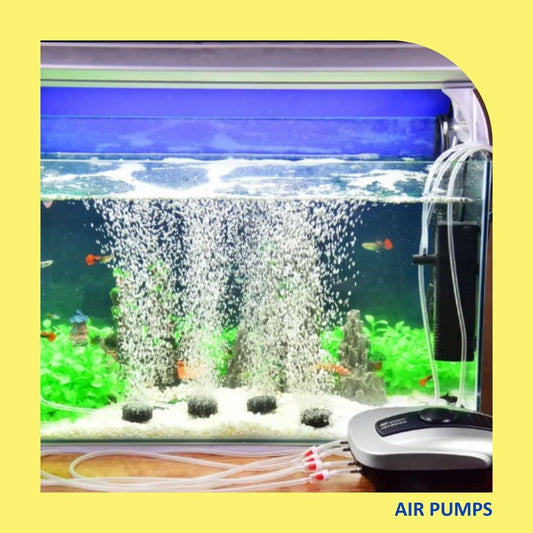 Aquabird Toowoomba