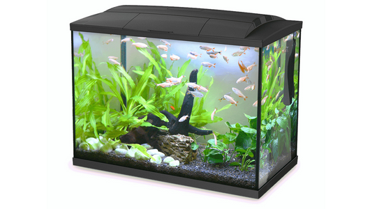 Hailea Aq Tank K60 - 60l