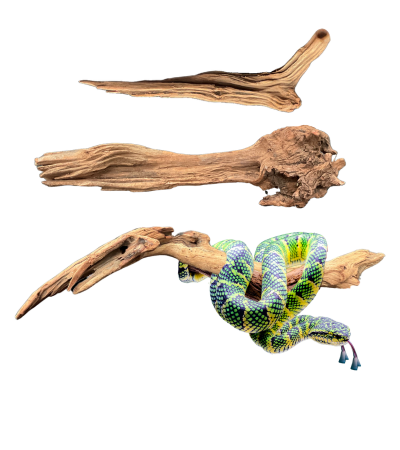 Dymax Reptile Log - Large