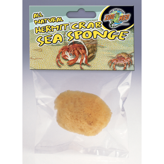 Hermit Crab Sea Sponges