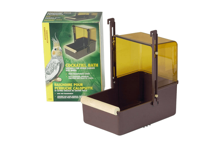 Living World Outside Bird Bath Largecockatiel Aquabird Toowoomba