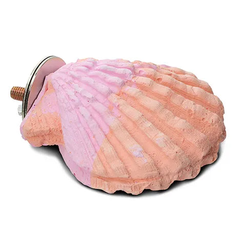 Bainbridge Calcium Clam Small