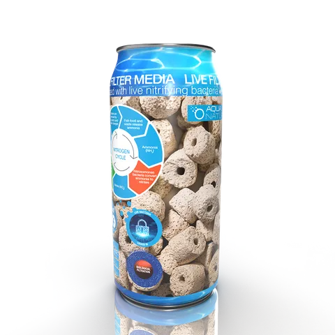 Live Ceramic Rings 500ml Can