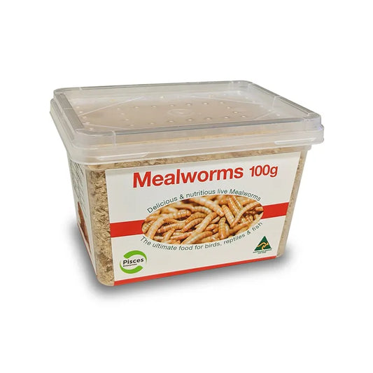 Pisces Mealworms 100g