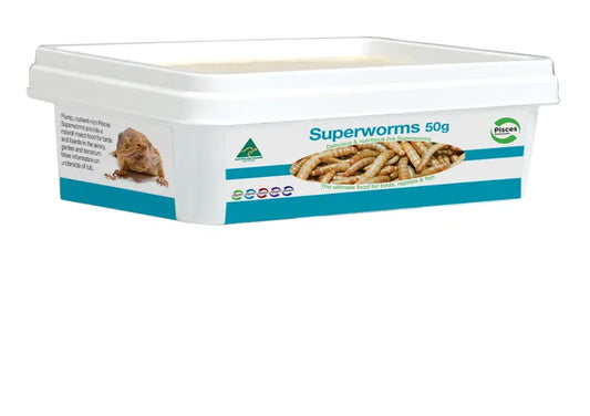 Pisces Superworms 50g