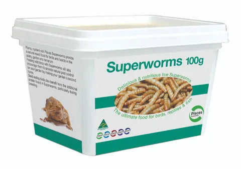 Pisces Superworms 100g