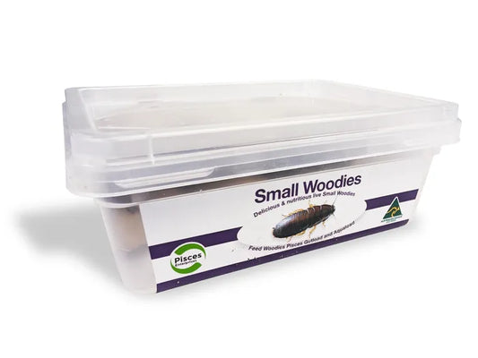 Pisces Small Woodies
