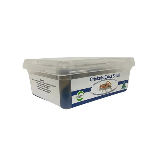 Pisces Extra Small Crickets