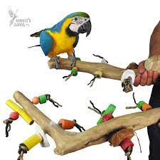 Nino's Java Multi Branch With Toys - Medium