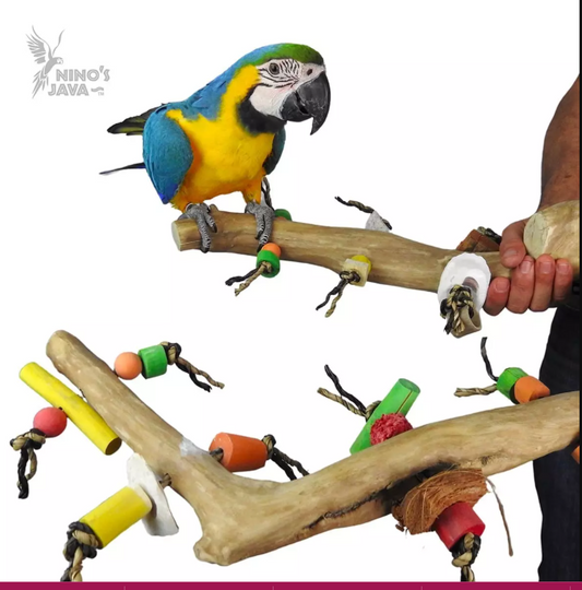 Nino's Java Multi Branch With Toys - Large