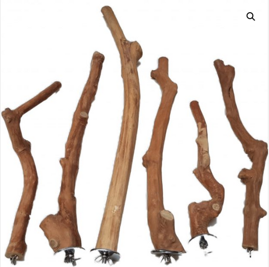 Nino's Java Single Perch - Large