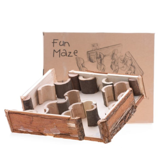 Fun Maze