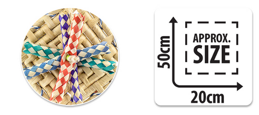 Bainbridge Fiesta Kite