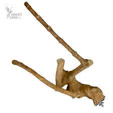 Nino's Java Multi Branch - Small