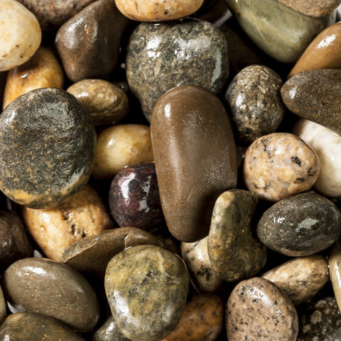 Turtle & Axolotl Pebbles 5kg