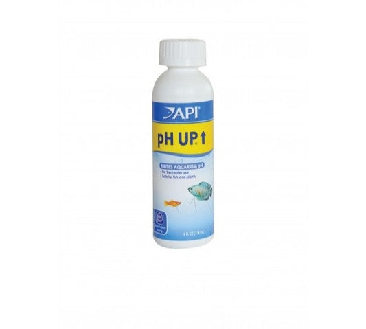 API pH up 118ml