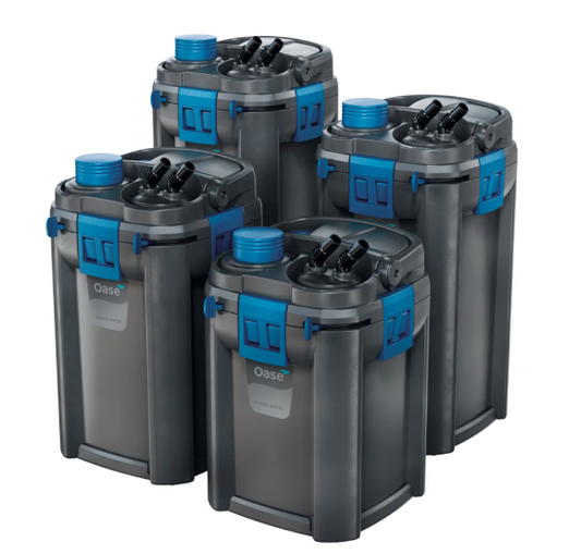 Oase Biomaster 250 | 54717