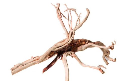 Red Moore Driftwood Small 30cm