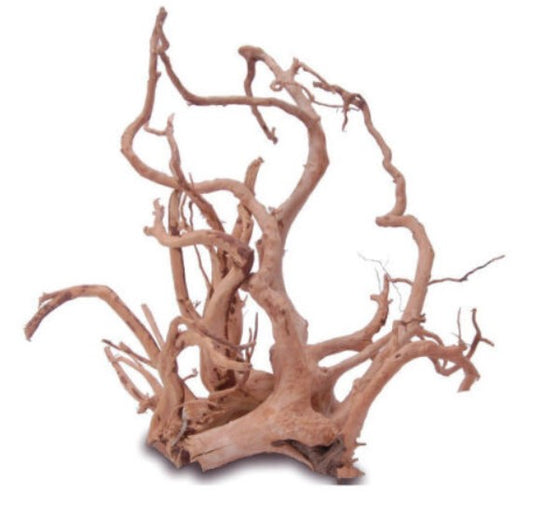 Tweety Wood - Large