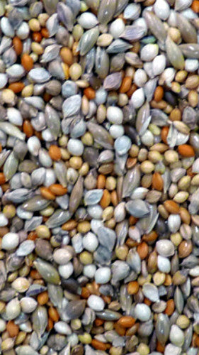 Avigrain Finch Blue Bird Seed