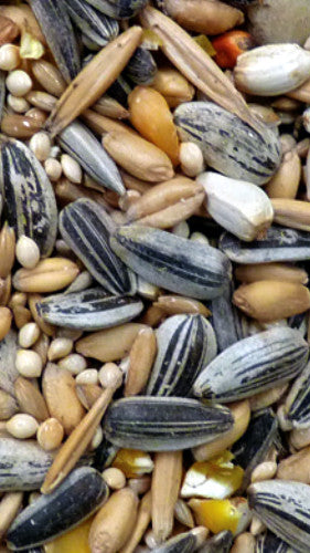 Avigrain Parrot Blue 20kg