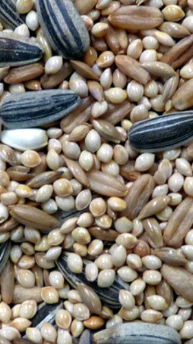 Avigrain Peachface Mix 20kg