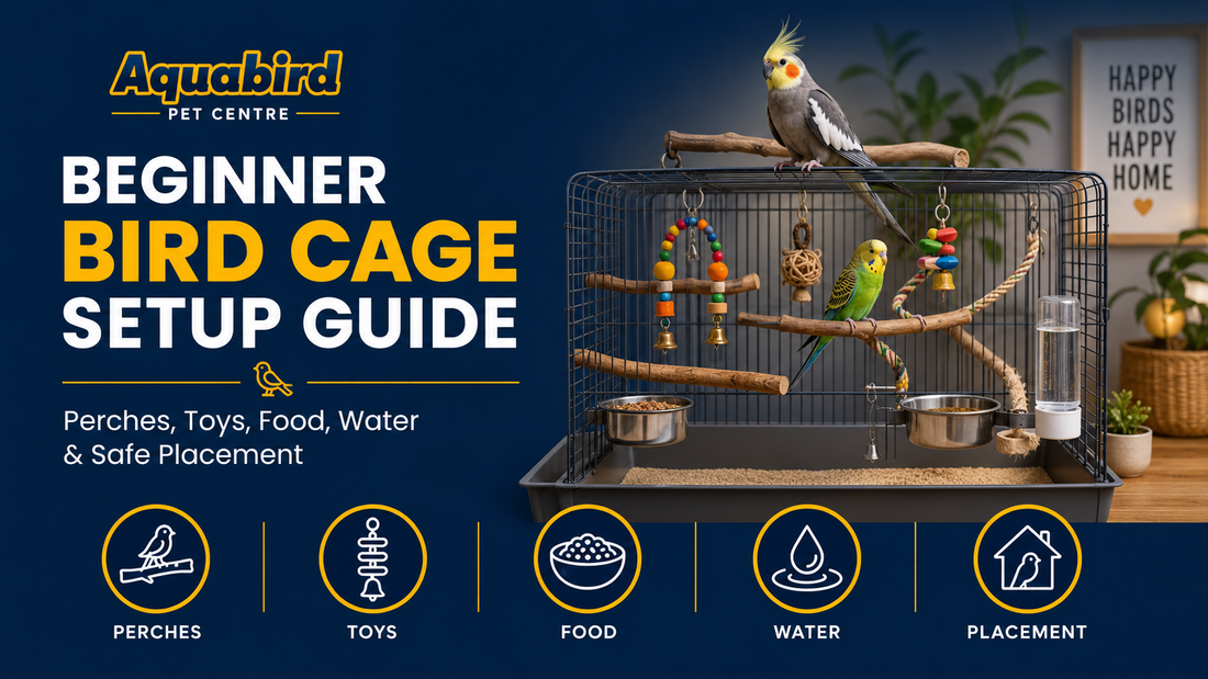 Beginner bird cage setup guide showing a pet bird cage with perches, toys, food, water and safe placement tips.