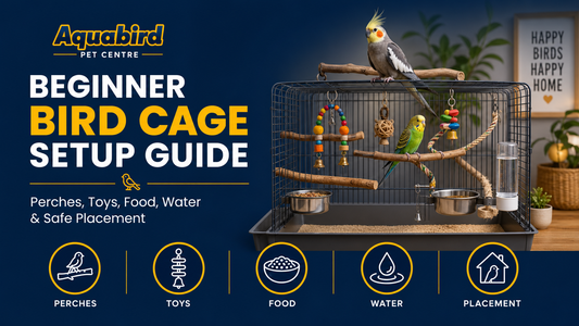 Beginner bird cage setup guide showing a pet bird cage with perches, toys, food, water and safe placement tips.