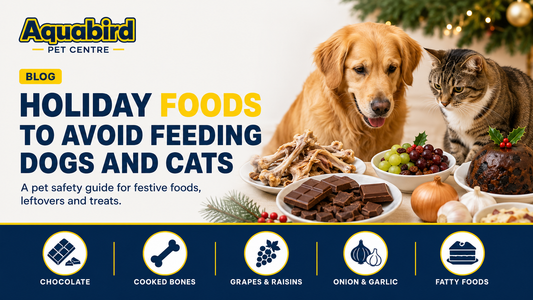 Holiday foods to avoid feeding dogs and cats, including chocolate, cooked bones, grapes, raisins, onion, garlic and fatty foods.
