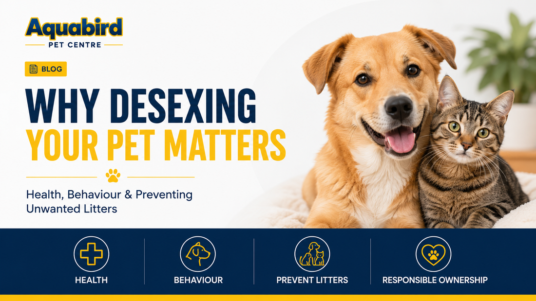 Dog and cat graphic for Why Desexing Your Pet Matters blog post, covering pet health, behaviour, preventing unwanted litters and responsible pet ownership.