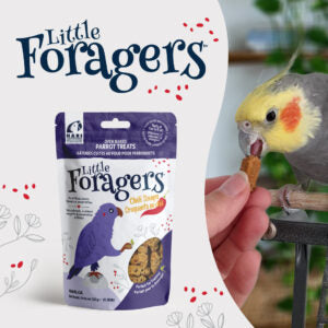 Little Foragers Chili Snaps 125g