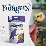 Little Foragers Chili Snaps 125g
