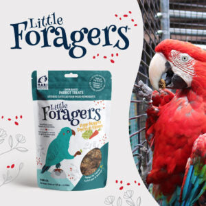Little Foragers Vege Nuggets 525g