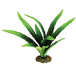 Aquaone Silk Plant African Onion Plant Md