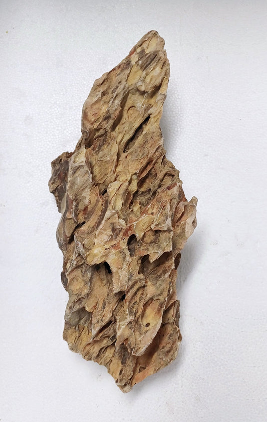 Dragon Rock   