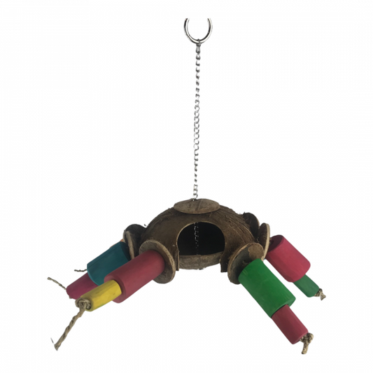 Nino's Java Coco Spider