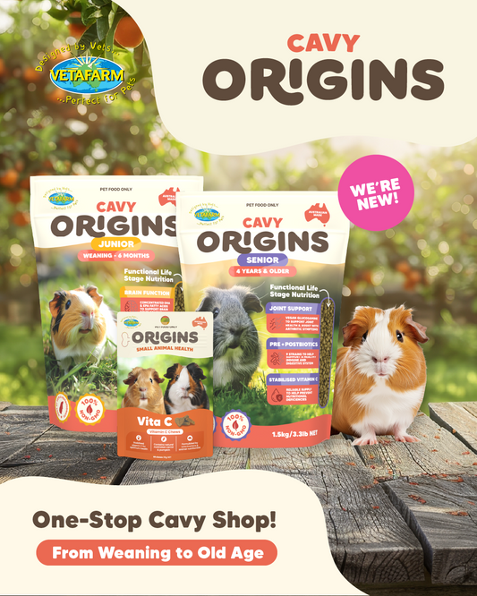 Vetafarm Origins Cavy Junior - 1.5kg 