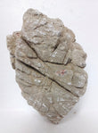 Luohan Rock 1kg