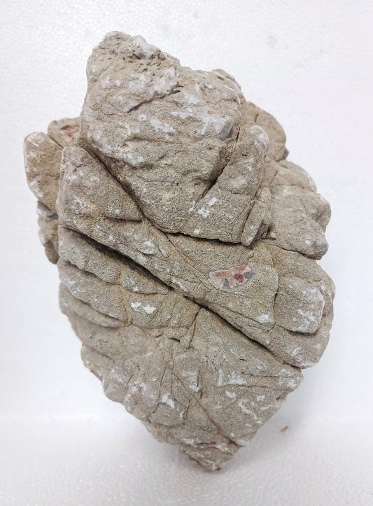 Luohan Rock 1kg