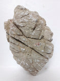 Luohan Rock 1kg