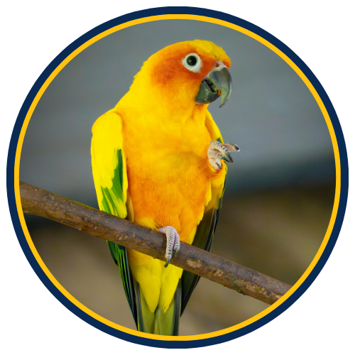 Aquabird Toowoomba
