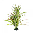 Upright Spinifex Xl 42cm