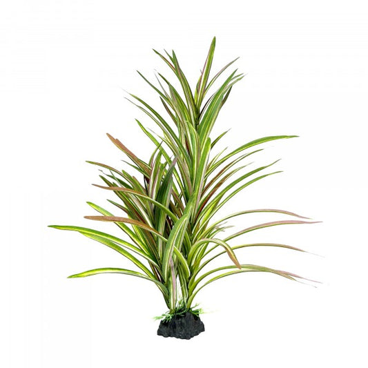Upright Spinifex Xl 42cm