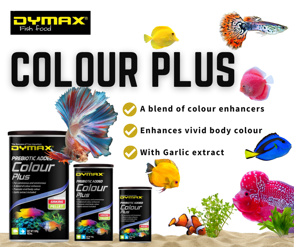 Dymax Colour Plus Medium Pellets 560g