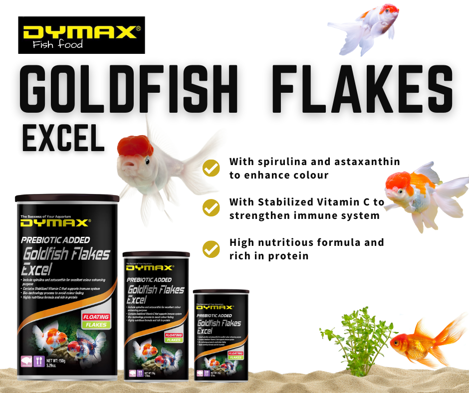Dymax Excel Goldfish Floating Flakes 20g