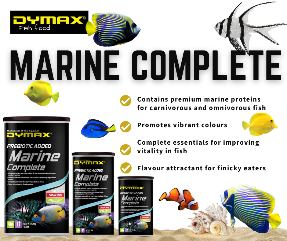 Dymax Marine Complete Small Sinking 160g