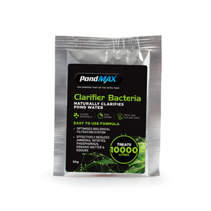 Pondmax Clarifier Bacteria 50g