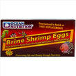 Brine Shrimp Eggs Box 50g
