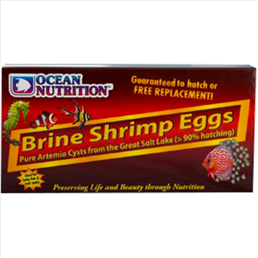 Brine Shrimp Eggs Box 50g